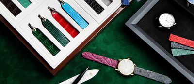 The Three-Watch Collection — From Compulsion to Clarity